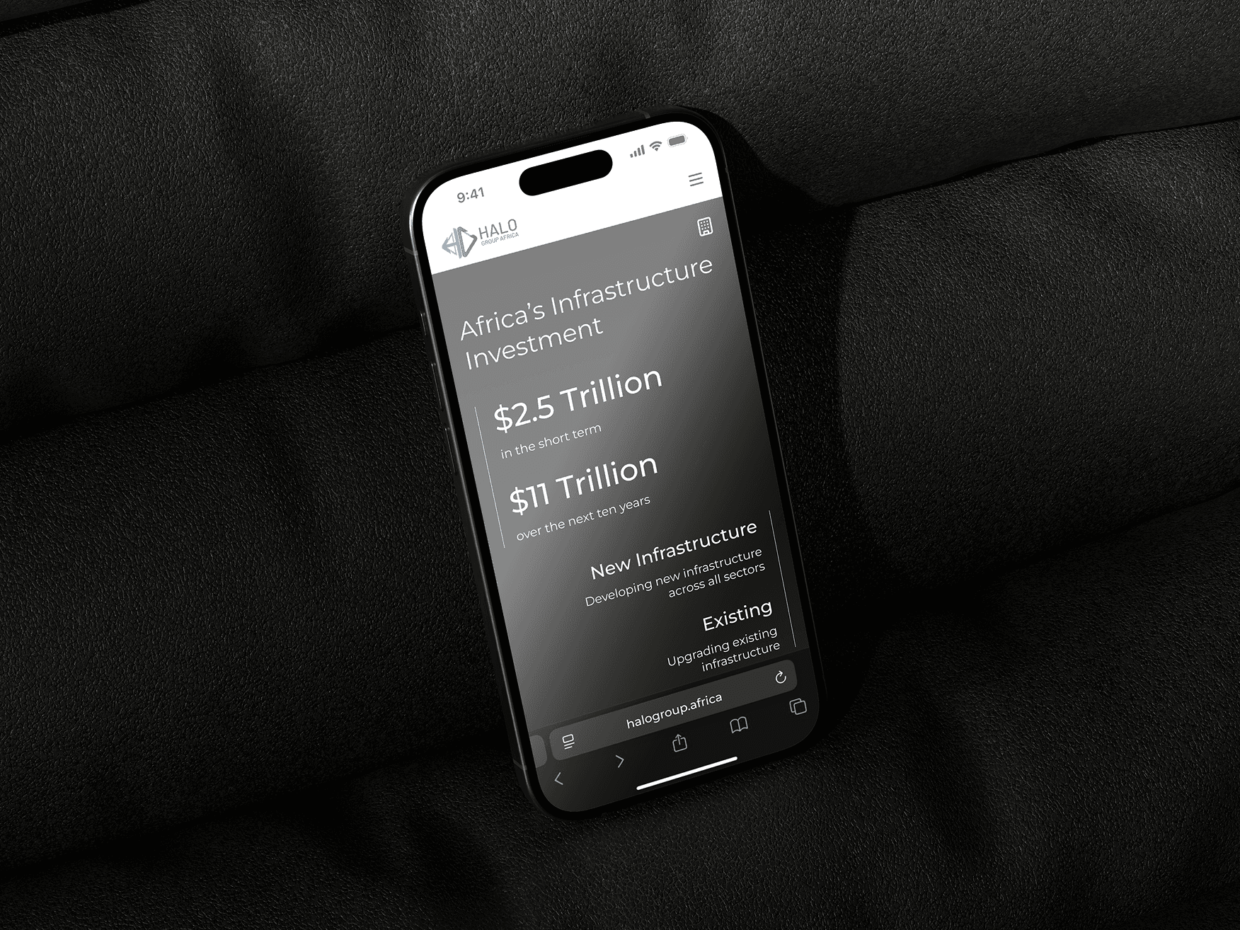 Halo Group Africa Overview